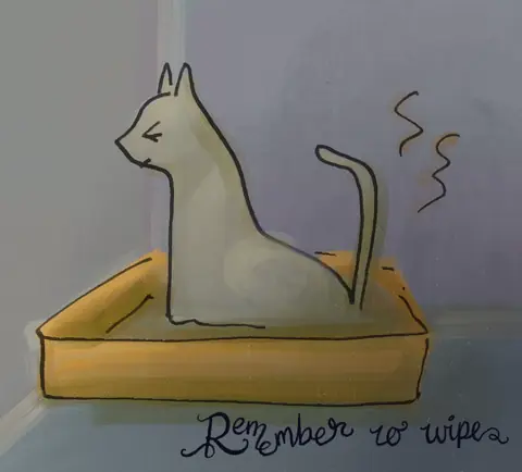 Grey cat in a litter box with the words Remember to wipe