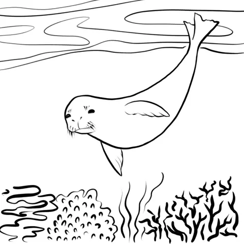 Ink seal swimming above coral and seaweed