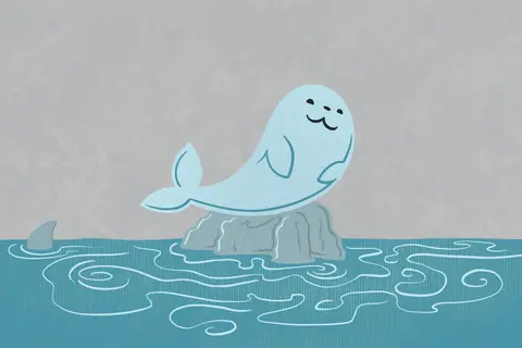 Pale blue seal resting on a rock in the water