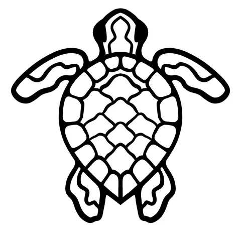 Outline of a sea turtle with patterned shell