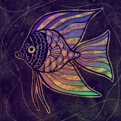 Painted angelfish with rainbow fins on a dark background
