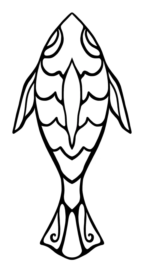 Patterned fish seen from above