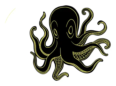Small black octopus with gold-edged tentacles
