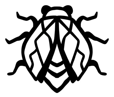 Bold black beetle