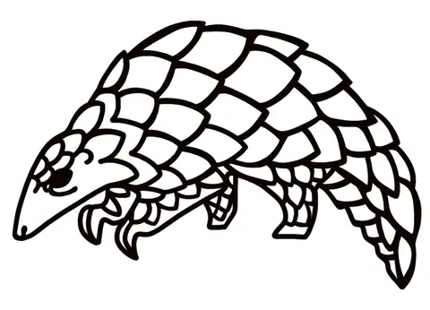 Pangolin with overlapping scales
