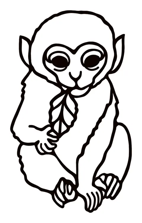 Baby monkey holding a leaf
