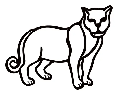 Outline of a cougar