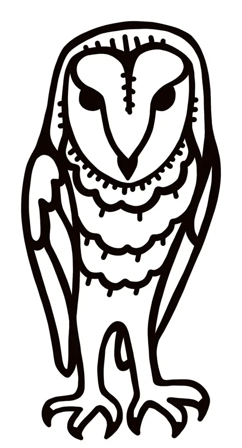 Barn owl standing tall