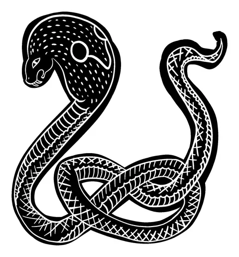 Patterned snake coiled in a knot